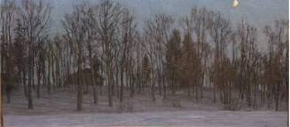 Winter Twilight